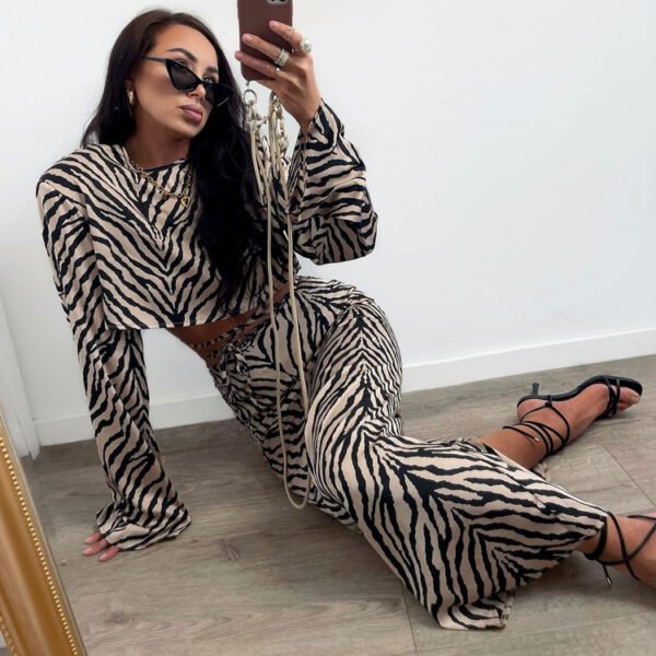 Zebra Striped Long Sleeves Cropped Top Suit Skirt Two-piece Set - Image 2