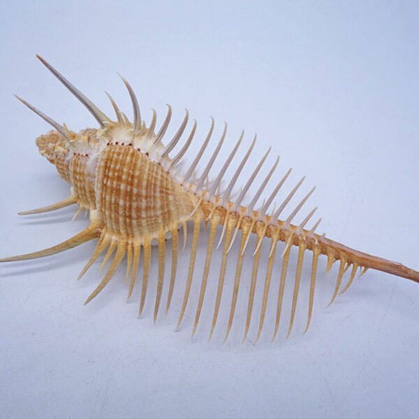 Aquarium Fish Decoration - Image 2