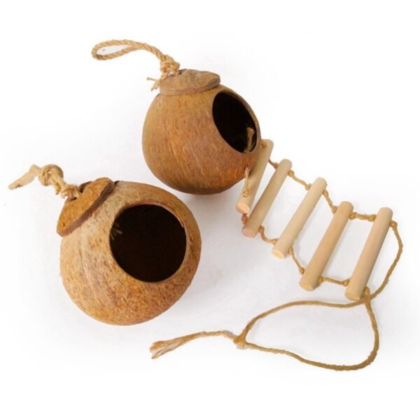 CocoNest - Image 2