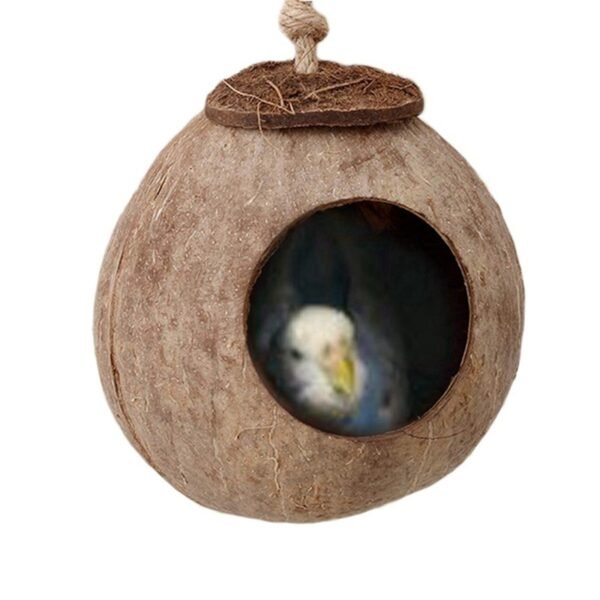 CocoNest - Image 3