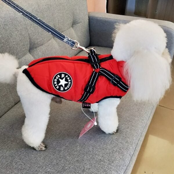 SnowPaw Jacket - Image 9