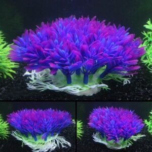 AquaScape Decor