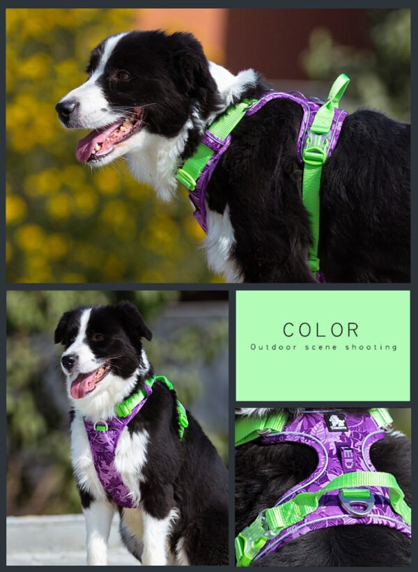 Dog leashes dog chain vest vest straps - Image 3