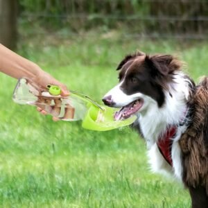 Travel-Friendly Pet Water Dispenser