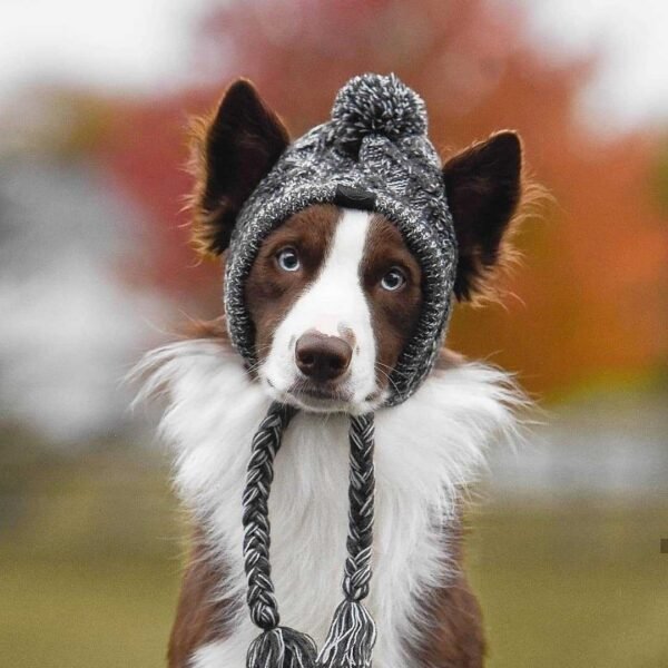 Fluffy Knit Dog Hat - Image 3