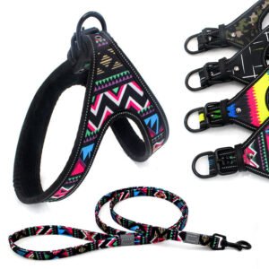 ColorBurst Leash