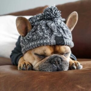 Fluffy Knit Dog Hat