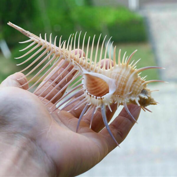 Aquarium Fish Decoration - Image 8