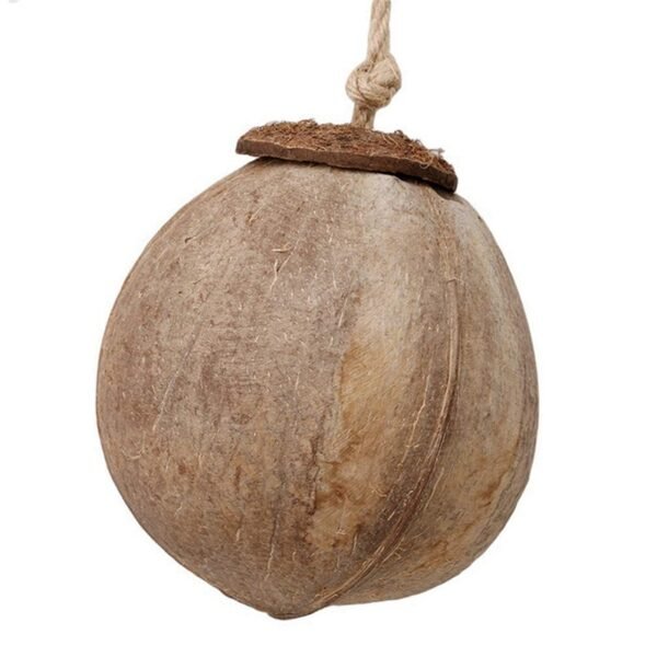 CocoNest - Image 4