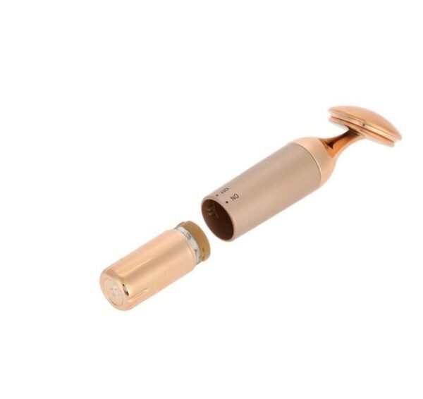 Beauty Equipment Home Electric Facial Importer - Image 5