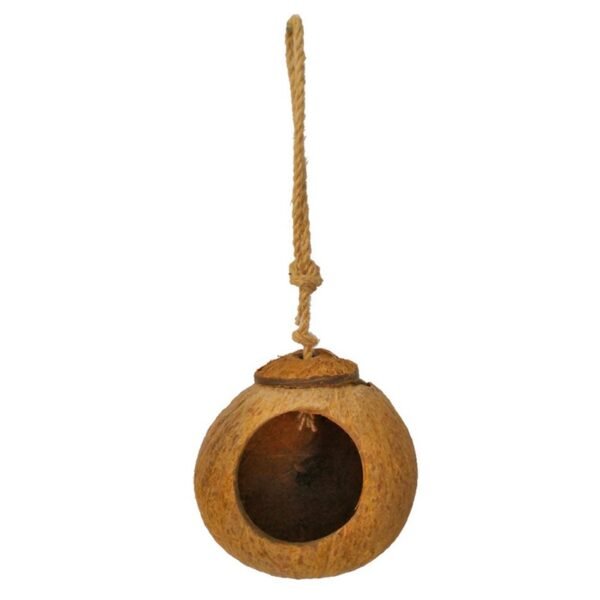 CocoNest - Image 6