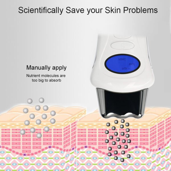 The Absorbs Beauty Instrument Deeply - Image 4