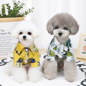 CoolPaws Outfit