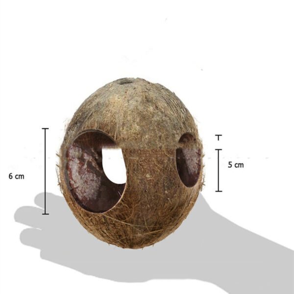 Creative Coconut Shell Bird Nest Feeder - Image 5