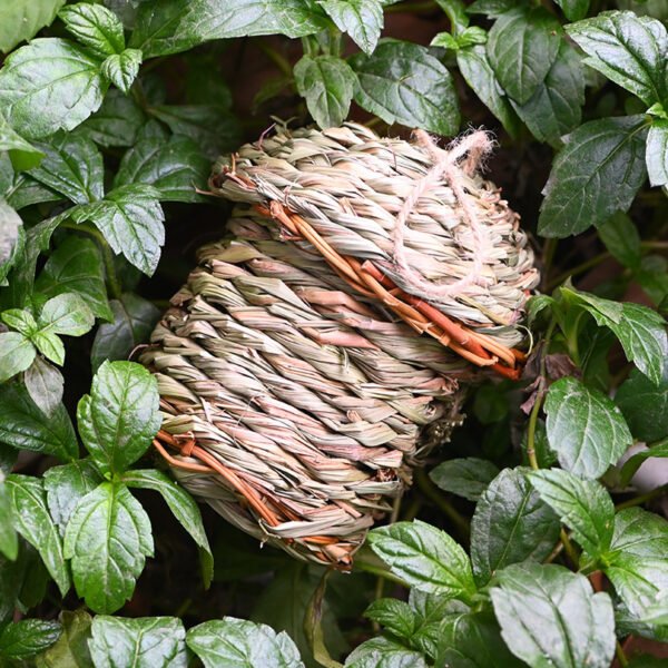 StrawHaven Nest - Image 2