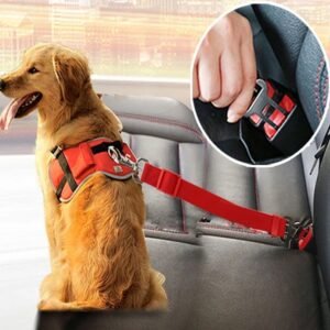 PawSecure Seatbelt