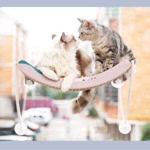 Cat Hammock Bask In The Sun Hanging Cat Hammock