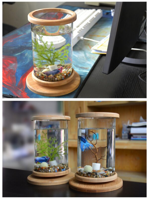 BambooGlass Fish aquarium - Image 5