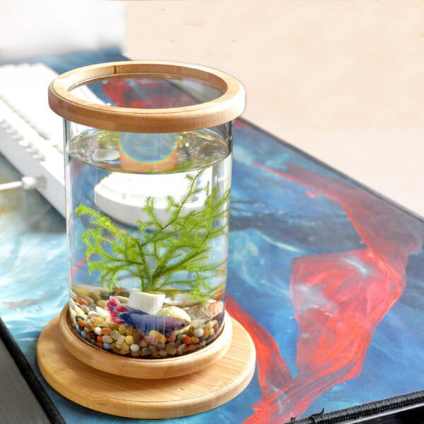 BambooGlass Fish aquarium - Image 4