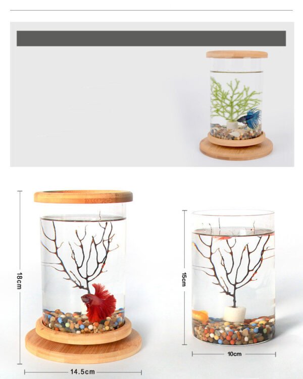 BambooGlass Fish aquarium - Image 3