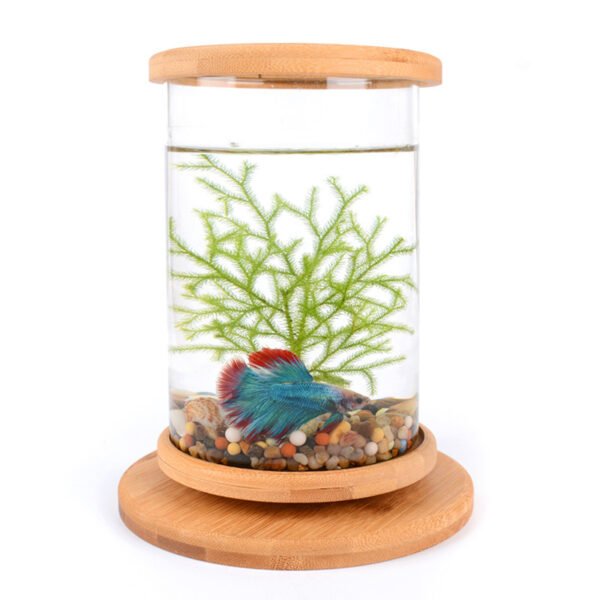 BambooGlass Fish aquarium - Image 2