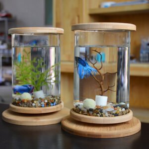 BambooGlass Fish aquarium