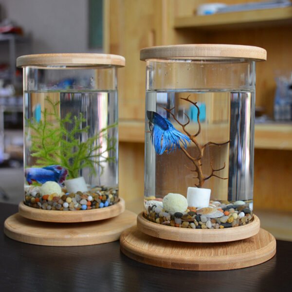 BambooGlass Fish aquarium