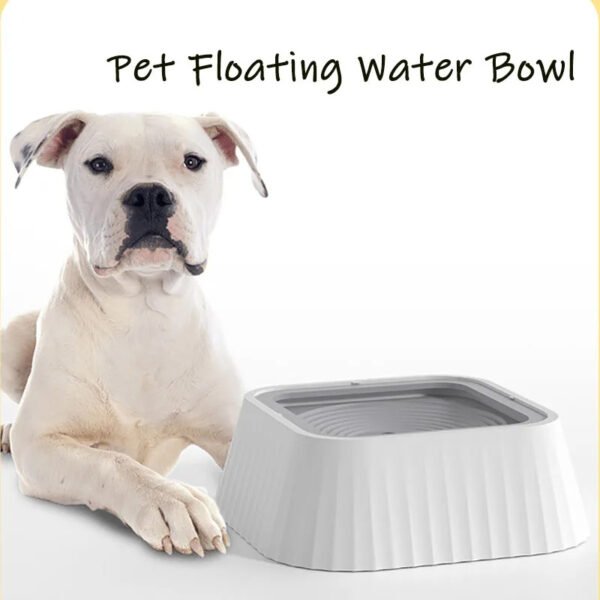 No-Wet Mouth Pet Feeder - Image 5