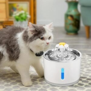 LED Illuminated Water Dispenser