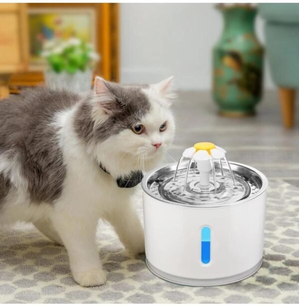 LED Illuminated Water Dispenser