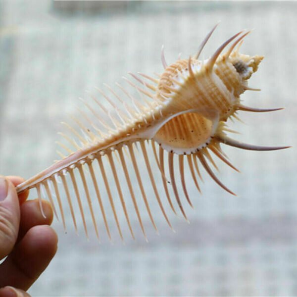 Aquarium Fish Decoration - Image 9
