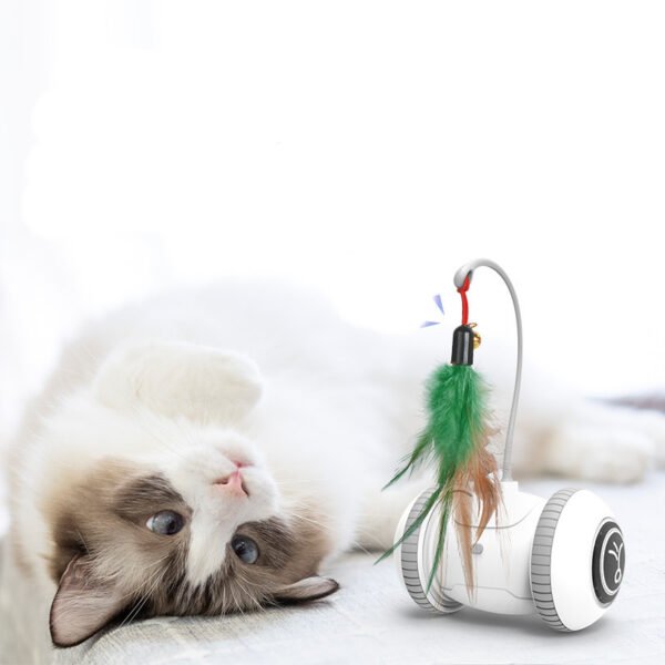 Swappable Head Interactive Cat Feather Toy - Image 4
