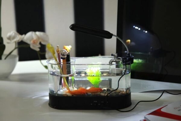AquaTime Desk Aquarium - Image 4