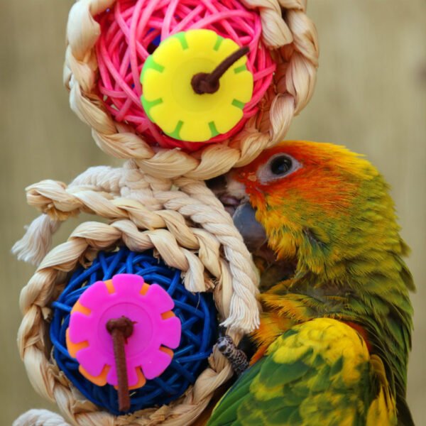 VineTwist Parrot Toy - Image 6