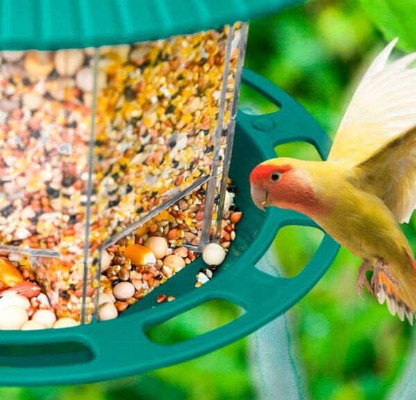 ClearView Bird Feeder - Image 7