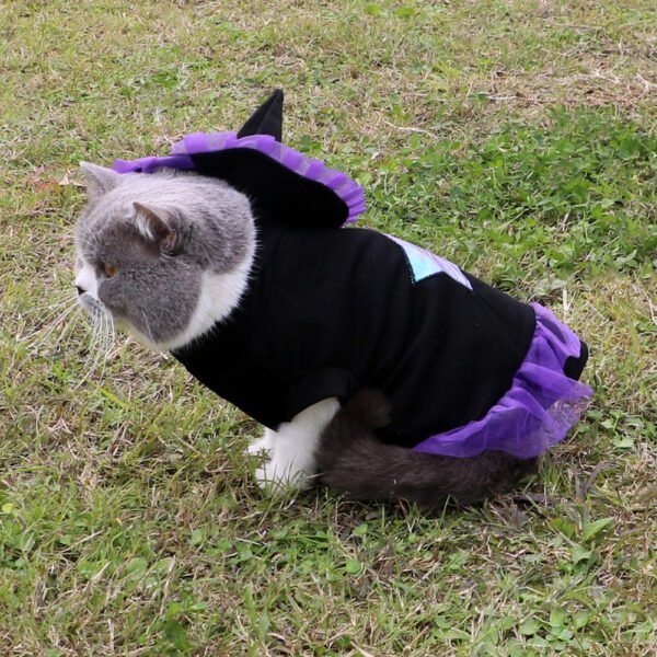 WizardPaw Costume - Image 2