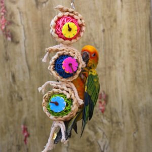 VineTwist Parrot Toy