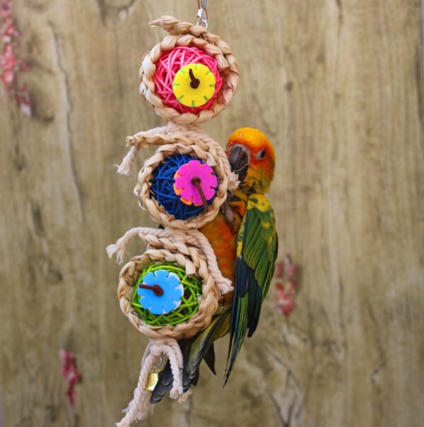 VineTwist Parrot Toy