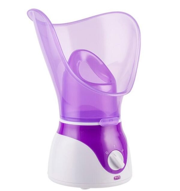 spray steamer Home steam beauty instrument - Image 4