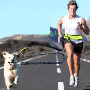 PawRun Leash