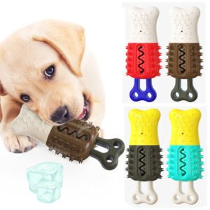 Summer Pet Essentials