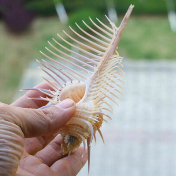 Aquarium Fish Decoration - Image 5
