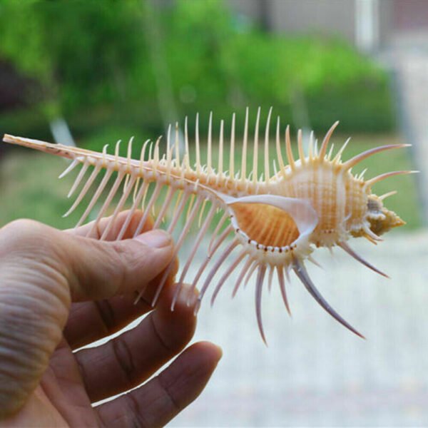 Aquarium Fish Decoration - Image 7