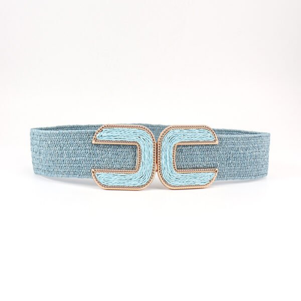 Elastic Waistband Women's Design Sense Niche Straw Elastic - Image 7