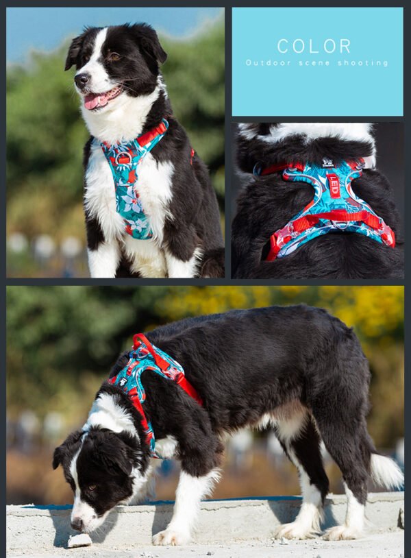 Dog leashes dog chain vest vest straps - Image 4