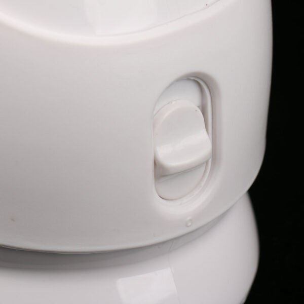 Nano Ion Steaming Facial Beauty Instrument Cleaner - Image 3