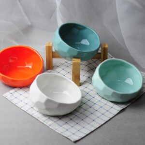 Ceramic Pet Feeding Bowl