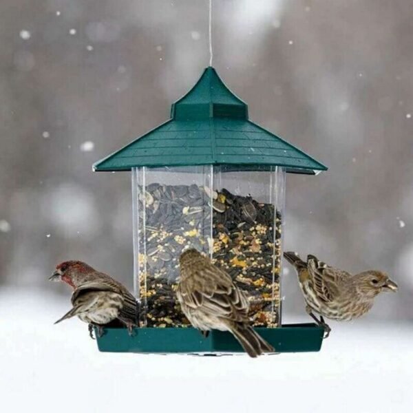 Waterproof hanging bird food box - Image 2
