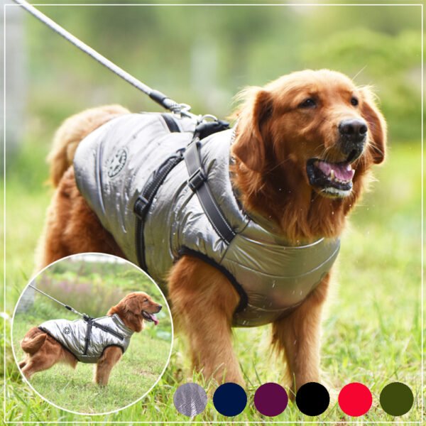 SnowPaw Jacket - Image 2