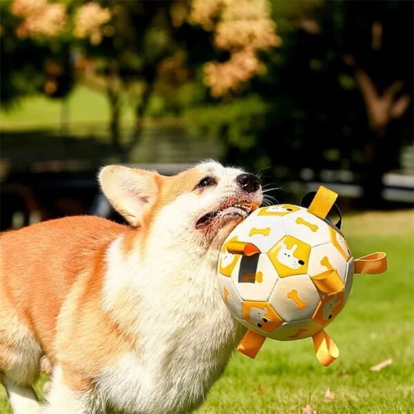 Durable Dog Chew Toy - Image 2